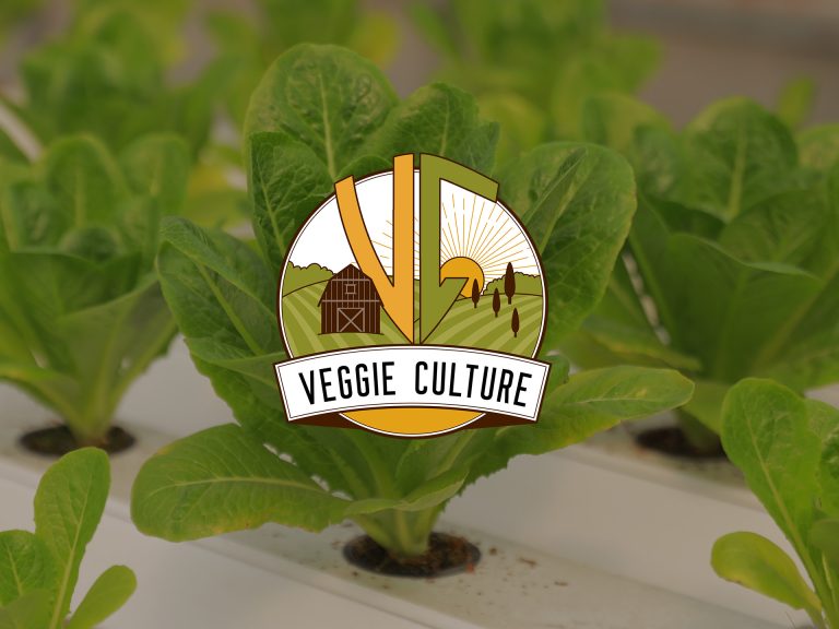 Veggie Culture’s Branding, Social Media, Video